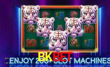 APP oficial da BKBET para mobile